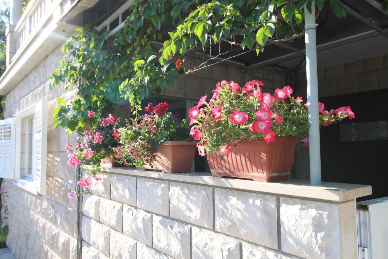 Apartment Ruzica Zrnovo ภายนอก รูปภาพ
